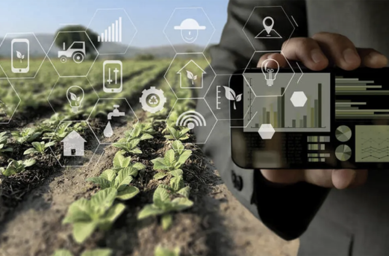 L’expansion de l’Internet des Objets (IoT) dans l’agriculture : Une révolution silencieuse